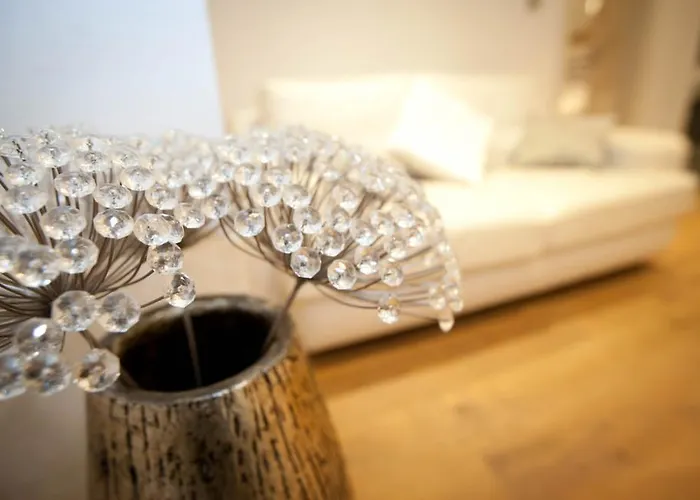 Laurus دوبروفينك